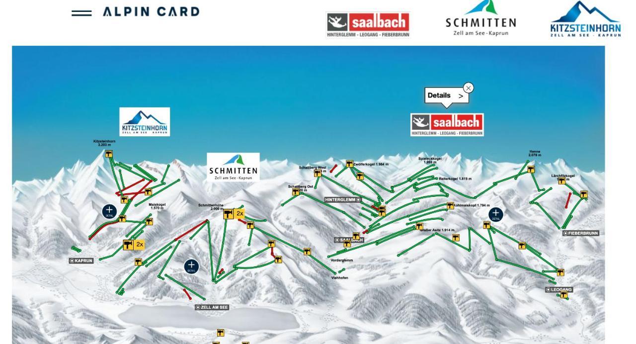 Magali'S, Bed & Breakfast - Inclusive Summer Card Zell am See Exterior foto